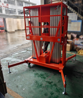 Подъемник мачтовый комбинированный 125 кг,  9/11 м, 220 В, 24/80 В/Ач TOR GTWY9-100 AC/DC 1-мачтовый